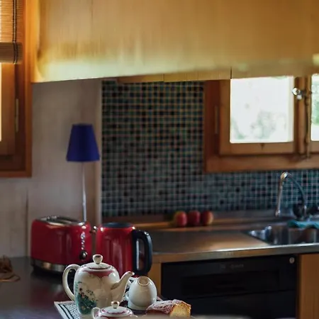 Cosy * Γκστάαντ