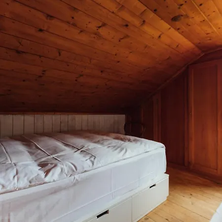 Daire Cosy Gstaad