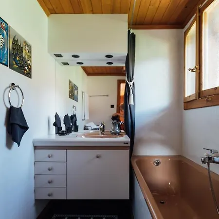 Cosy Apartment Gstaad
